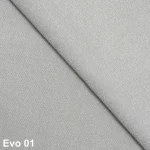 Evo 01