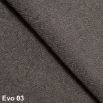 Evo 03