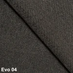 Evo 04