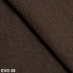 Evo 08