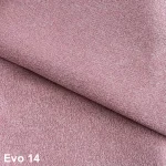 Evo 14